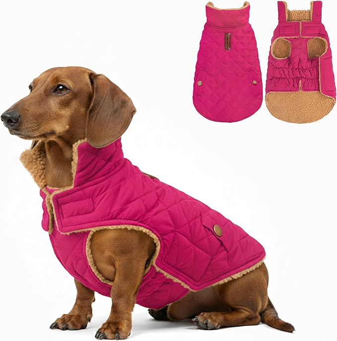 azuza Dog Jacket Waterproof & Windproof Dog Coat for Small Dogs with Thick Fleece, High Collar with Leash Hole, Adjustable Velcro & Elastic Belly, Rose Red XL