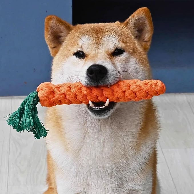 2ME 3 PCS Carrot Dog Rope Toys for Dogs, Durable Chew Toys for Aggressive Chewers, Entertainment and Interaction, Teeth Cleaning and Chewing, All-Cotton