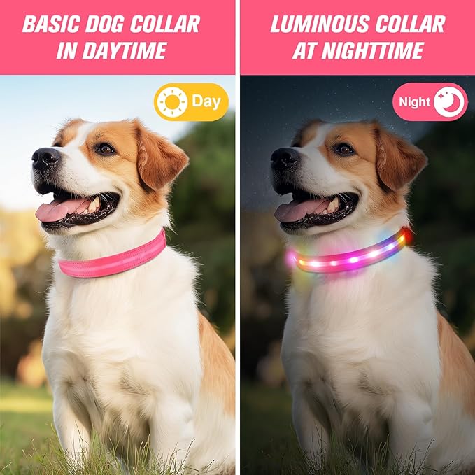 LED Dog Collar, Light Up Dog Collar, USB Rechargeable - Brightest Dog Lights for Night Walking, 6 Light Modes, Adjustable for Dog Safety(Large, Candy Pink)