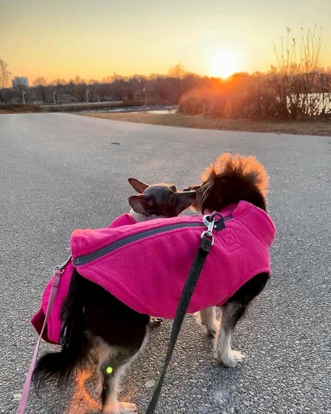Gooby Zip Up Fleece Dog Sweater - Pink, Large - Warm Pullover Fleece Step-in Dog Jacket with Dual D Ring Leash - Winter Small Dog Sweater - Dog Clothes for Small Dogs Boy and Medium Dogs