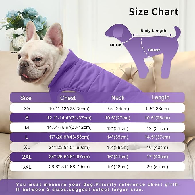 2 Layers Fleece Lined Warm Dog Jacket for Puppy Winter Cold Weather,Soft Windproof Small Dog Coat,Purple XS