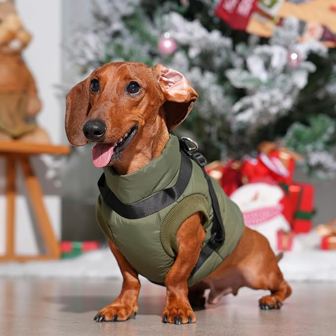 Dog Jacket with Harness,Fleece Lined Warm Puppy Coat for Winter,Soft Windproof Large Dog Vest,Green XXXL