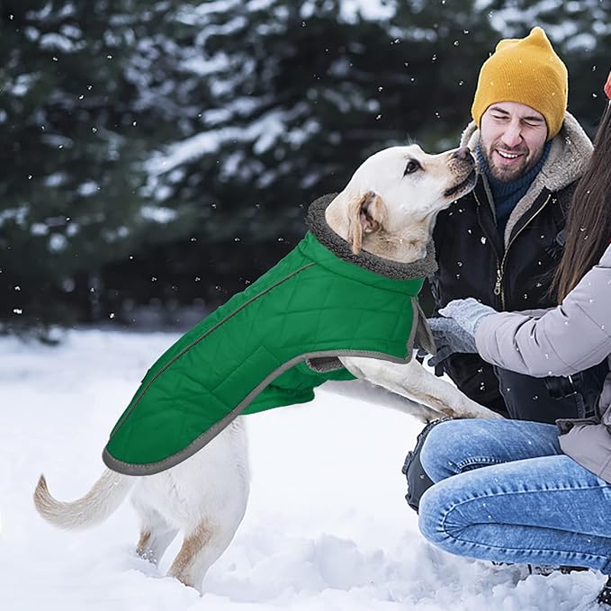 Fragralley Dog Coat Large, Waterproof Dog Jacket with Warm Fleece Lining, Adjustable Reflective Dogs Winter Coat, Turtleneck Pet Coats for Cold Weather (Green XXL)