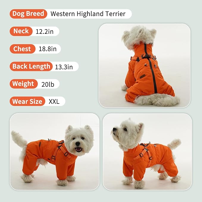 BRKURLEG Dog Raincoat for Small Dogs, Small Dog Rain Jacket with Harness Built in, Waterproof 4 Legs Pet Raincoats, Puppy Outdoor Jacket with Reflective Strip, Orange, S