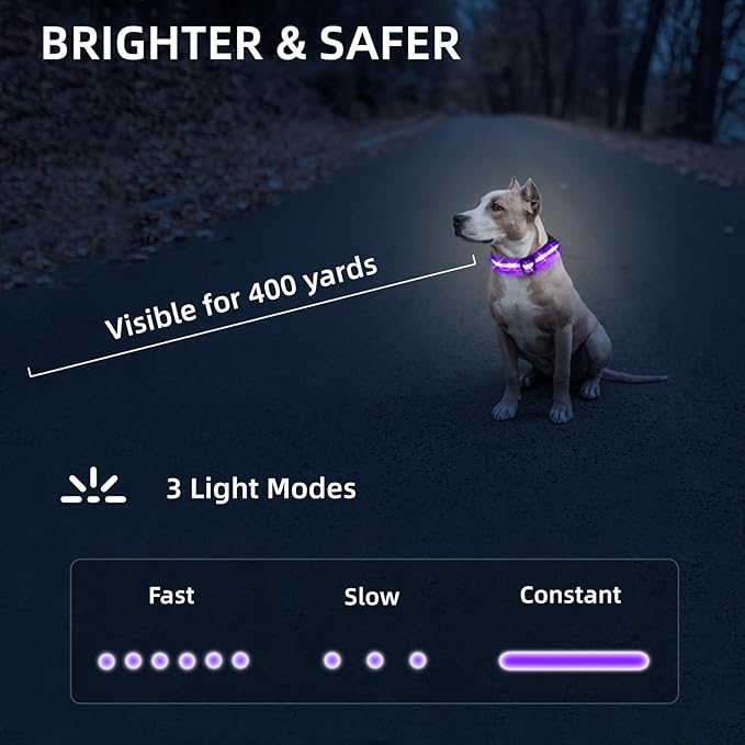 Super Bright LED Dog Collar - Fully Waterproof & Adjustable Glow Collar - USB-C Rechargeable for Night Walking, Safety - Flashing Lighted Collar for Dogs(Purple,Medium)