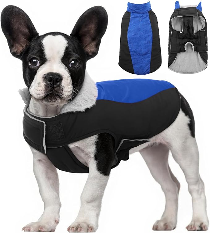 Warm Dog Coat,Waterproof Jacket in Winter Adjustable and Reversible Doggy Fleece Outfit,Thick Clothes with Foldable Collar for Puppy in Cold Days,S RoyalBlue