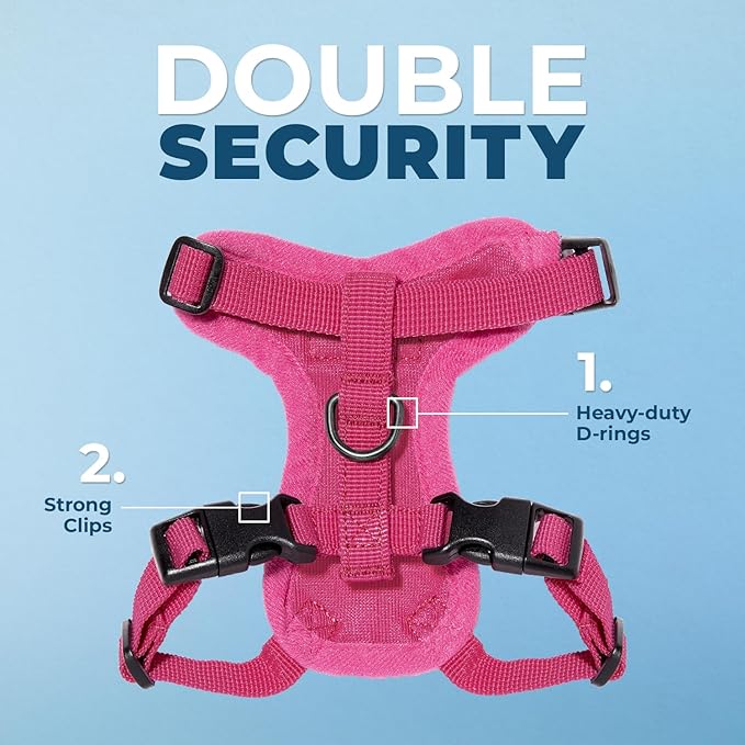 Voyager Step-in Lock Adjustable Cat Harness w. Cat Leash Combo Set with Neoprene Handle 5ft - Supports Small, Medium and Large Breed Cats by Best Pet Supplies - Fuchsia, XXXS