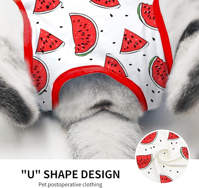 Cat Professional Surgical Recovery Suit,E-Collar Alternative for Cats Dogs,After Surgery Wear, Pajama Suit,Home Indoor Pets Clothing (S(3.3-5.5lbs), Watermelon)