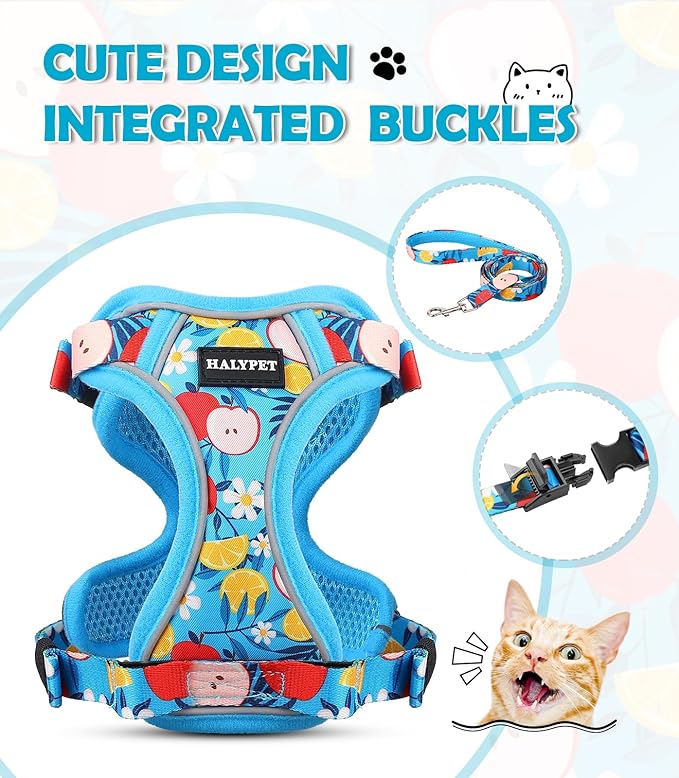Halypet Cat Harness and Leash Set[MAX Safety 4th-Gen] Cute Escape Proof Vest Harness for Girl&Boy Cat Walking, Comfortable Adjustable Leash and Reflective Strips for Outdoor Kitten, S Azure Floral