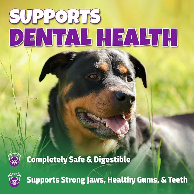 Marrow Bones for Dogs Large, Medium, & Small, All-Natural, USA Made, Healthy Bone Marrow Dog Treats, Filled Beef Bones That Support Dental Health, 6-Inch, 4 Count