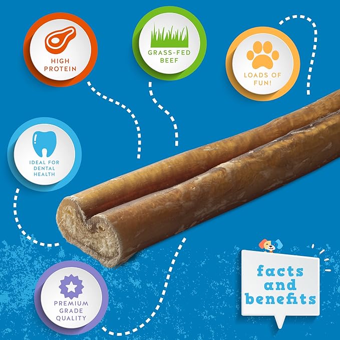Jack&Pup 12" Bully Sticks Dog Chews | Odor Free Bully Sticks | Single Ingredient, All Natural Pizzle Sticks for Dogs (8oz, 5/6 Sticks)