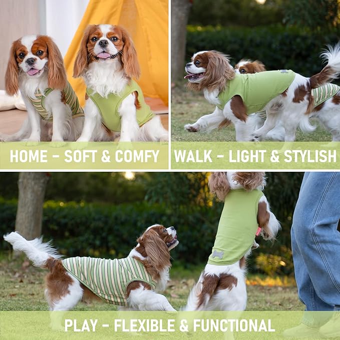 KYEESE 2Pack Dog Shirts Striped T Shirt Cotton Tank Top Soft Tee for Small Dogs Lightweight Clothes Sleeveless Dog Vest, Medium,Green+Striped