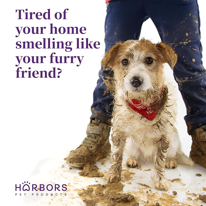 Harbor's Pet Cologne (Evergreen Ocean Breeze)