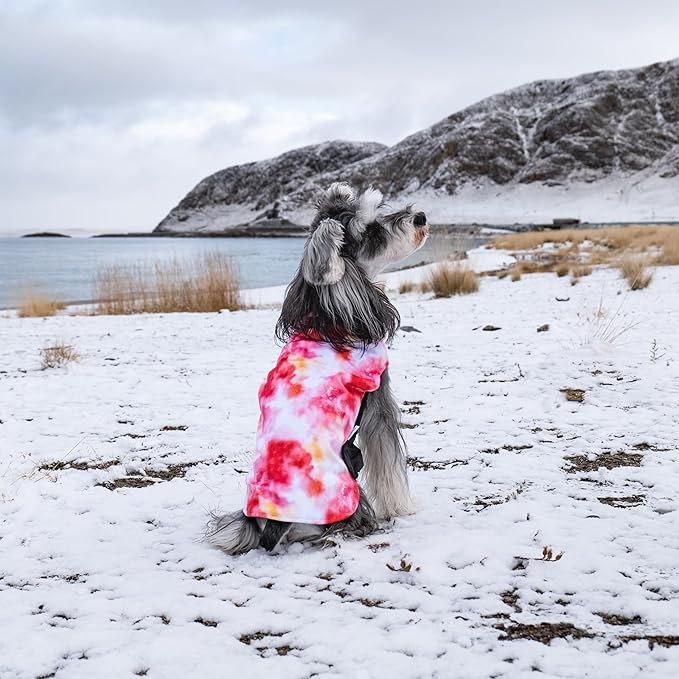 GMF Winter Dog Jacket Reversible Vest - Waterproof, Windproof, Thick Soft Coat with Leash Hole for Small to Large Dogs