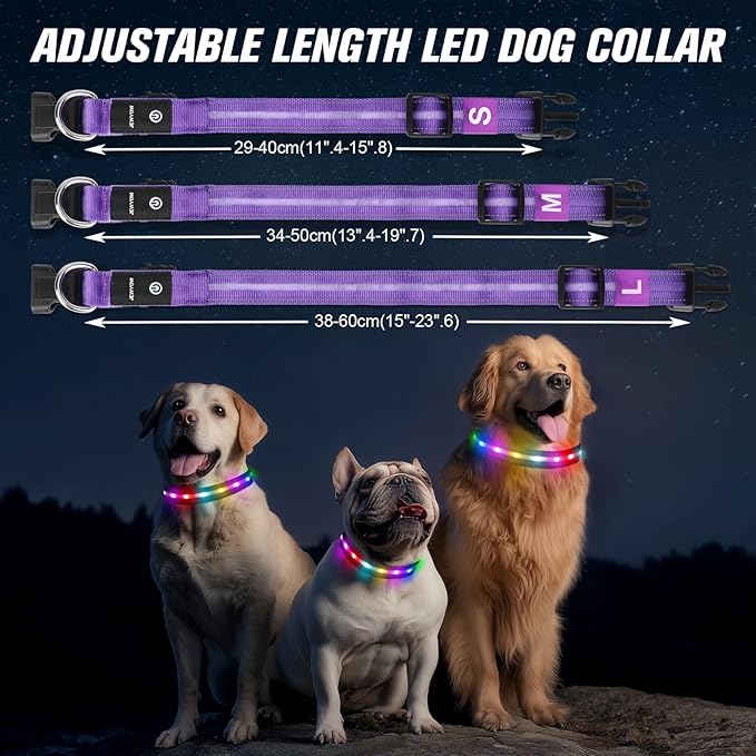 LED Dog Collar, Light Up Dog Collar, USB Rechargeable - Brightest Dog Lights for Night Walking, 6 Light Modes, Adjustable for Dog Safety(Large, Purple)