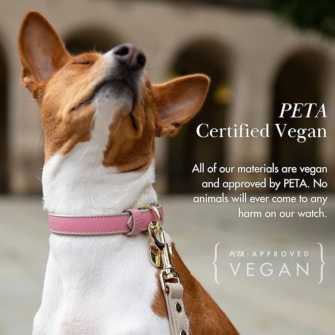 NINA WOOF Rio Vegan Leather Dog Collar - Padded Luxury Dog Collar with Adjustable Buckle - Collar for Dogs, Small Dogs and Large Dogs (Extra-Small, Pink)