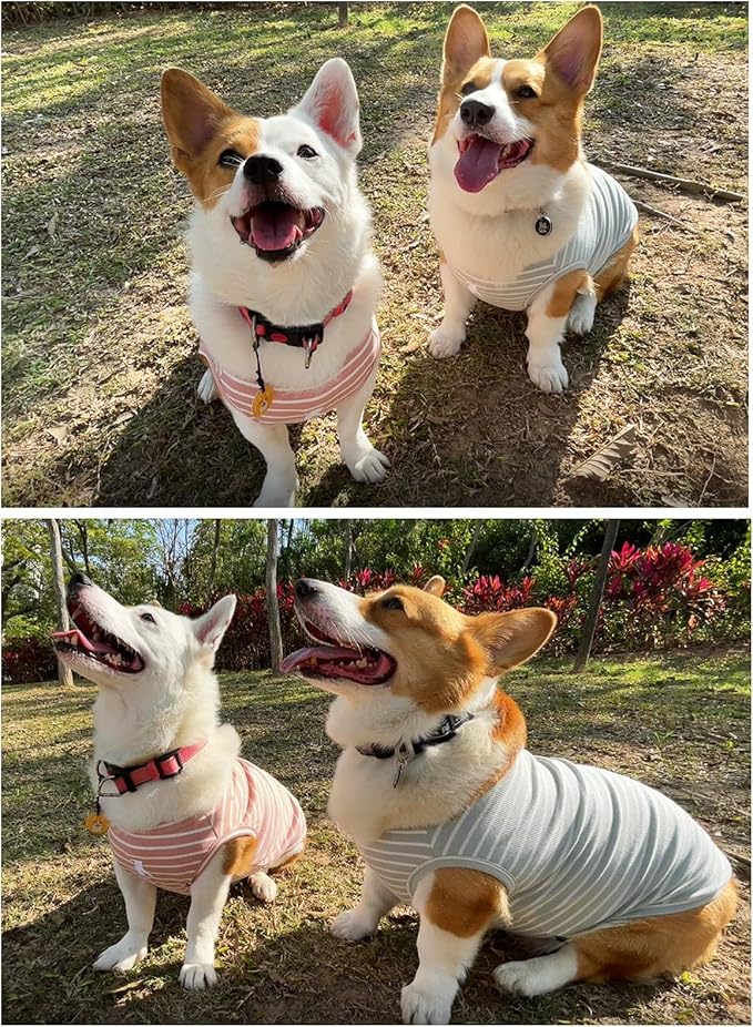 Koneseve Dog Shirt Vest Lightweight Stretchy Dog T-Shirts Soft Cool Sleeveless Stripe Vests Breathable Clothes for Puppy Kitty Cats Small Medium Large Dogs 2 Pack Pink + Green [ M/Medium ]