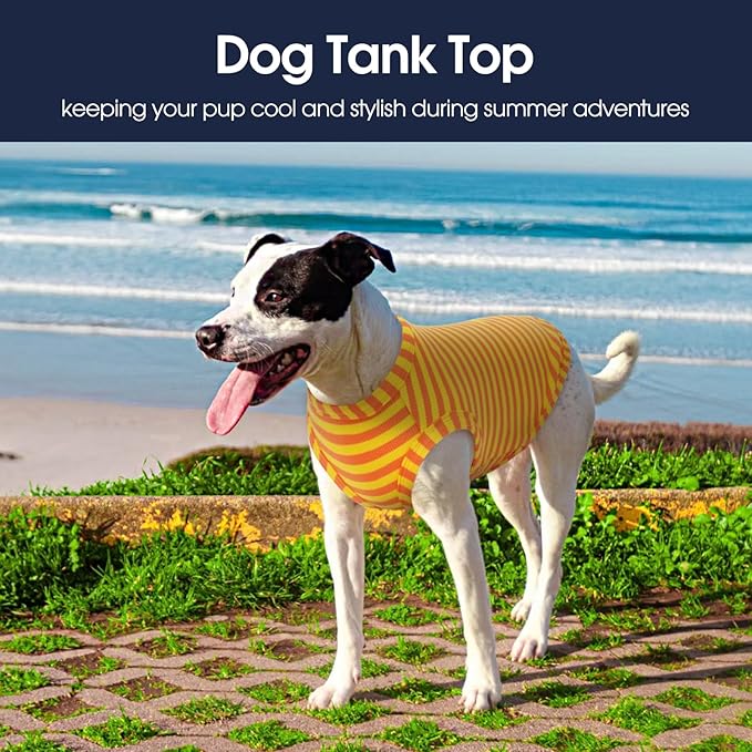 IECOii 2 Pack Dog T-Shirts,Stretchy & Comfortable Pet Summer Tank Top Clothes,Fade-Resistant, Easy to Put On – Machine Washable Tshirts for Medium Breeds Dogs,Orange+Stripes,XLarge