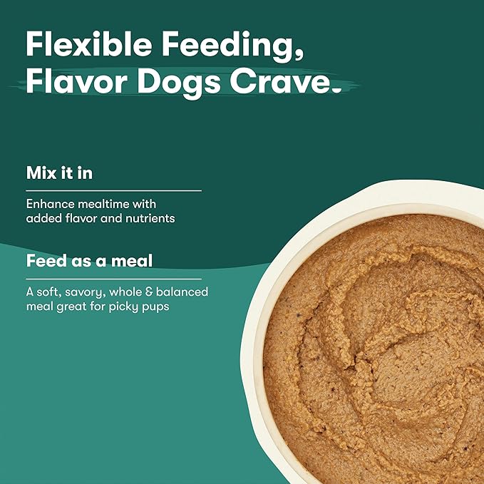 Jinx Premium Wet Dog Food Cans - Beef Pate - Grain-Free Canned Dog Food Pate & Topper with Real Ingredients & No Fillers - All Life Stages, Breeds & Sizes - 12-Pack, 13 Oz