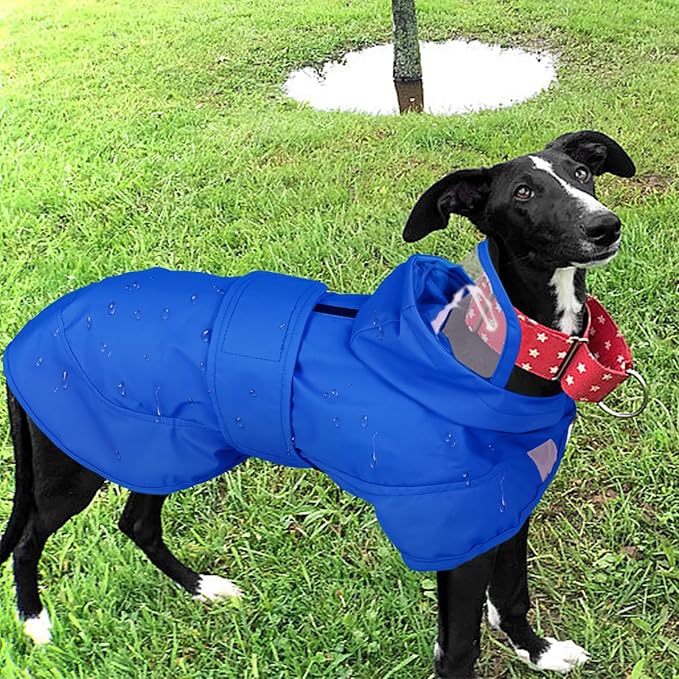 Kuoser Dog Raincoat, Waterproof Dog Rain Jacket with Clear Hooded Double Layer, Lightweight Reflective Dogs Rain Coat with Adjustable Belly Strap, Rain Coats for Medium Large Dogs Outdoor Wear, Blue L