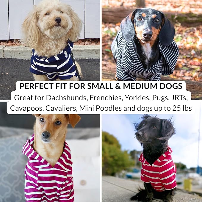 DJANGO Dog Hoodie – Warm, Lightweight, Soft & Stretchy Dog Sweater with Hood, Harness Hole & Elastic Waistband – Cozy Sweatshirt for Small Dogs up to 25 lbs, Dachshunds & Puppies – Blush Pink, Medium