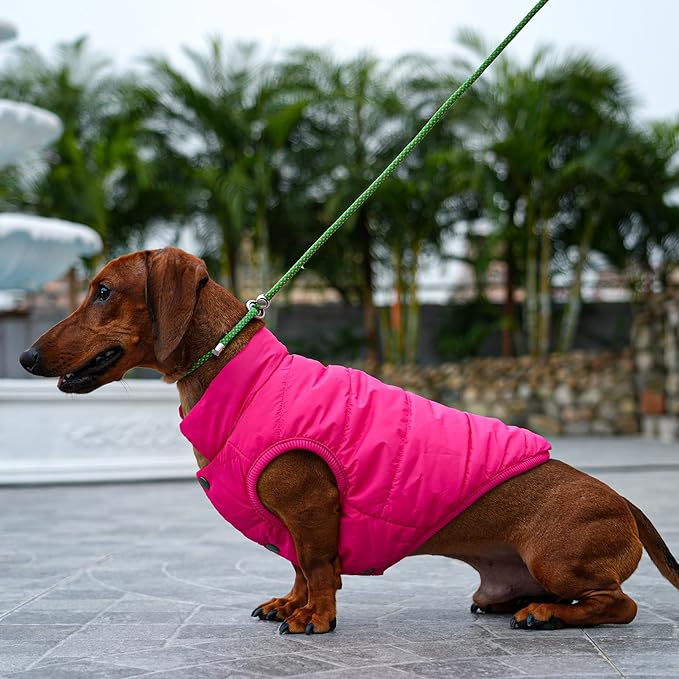 2 Layers Fleece Lined Warm Dog Jacket for Winter Cold Weather,Soft Windproof Medium Dog Coat,Pink XL