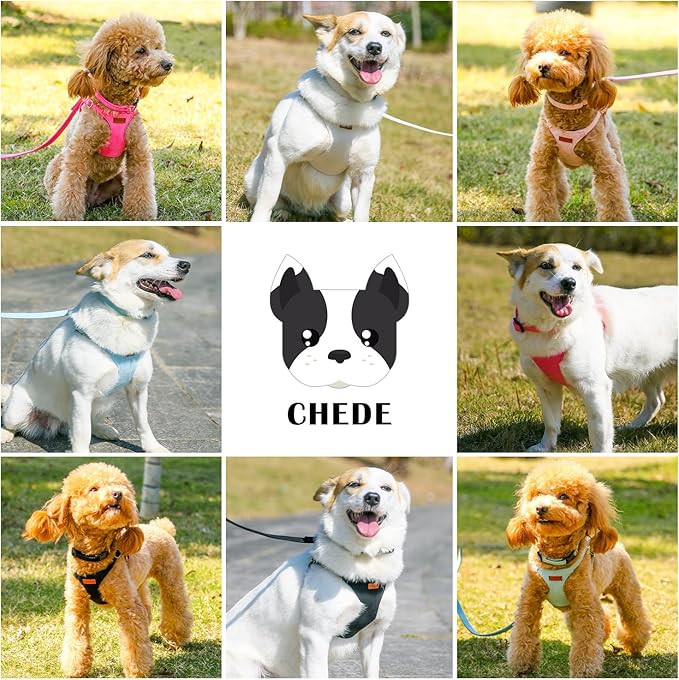 No Pull Dog Harness- Lightweight, Soft, Adjustable Small Harness Collar and Leash Set, Suitable for Cats Puppy Small and Medium-Sized Dog Outdoor Training and Running (Blue, S)