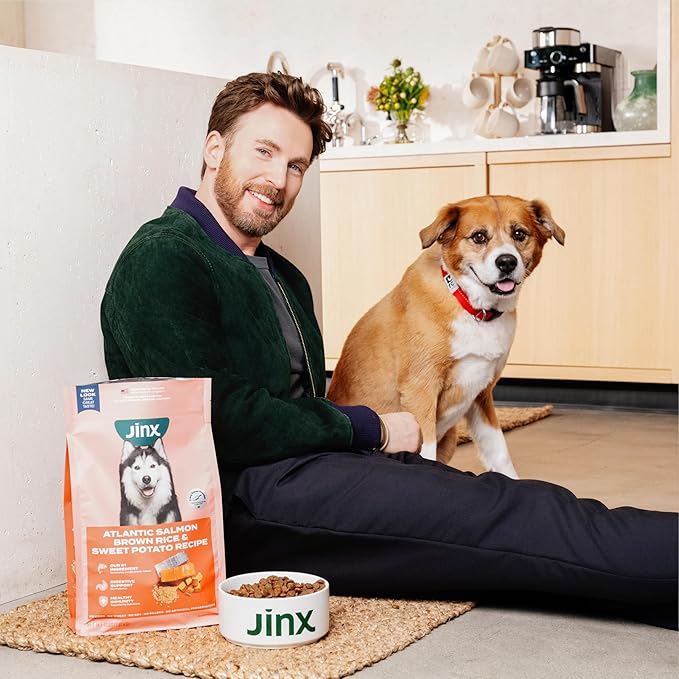 Jinx Premium Puppy Dog Food- Real Chicken, Brown Rice & Sweet Potato, Puppy Food with DHA, Protein & Calcium for Brain Health - Probiotics for Digestive Support - No Fillers - 30lb