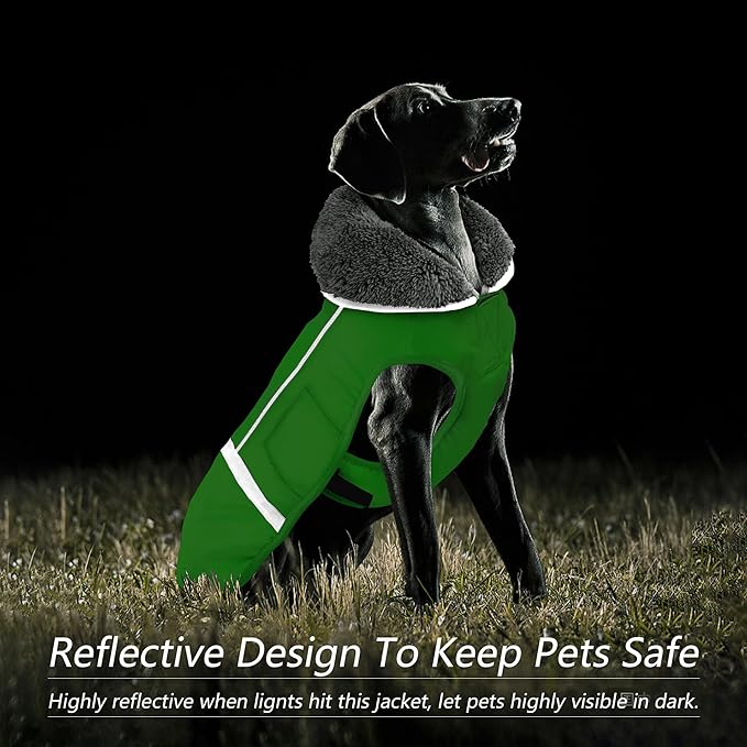 Dogcheer Warm Dog Coat, Waterproof Dog Jacket Christmas Puppy Winter Coat with Buckle, Reflective Adjustable Pet Snow Jacket Turtleneck Fleece Sweater for Small Medium Large Dogs - Green, XL