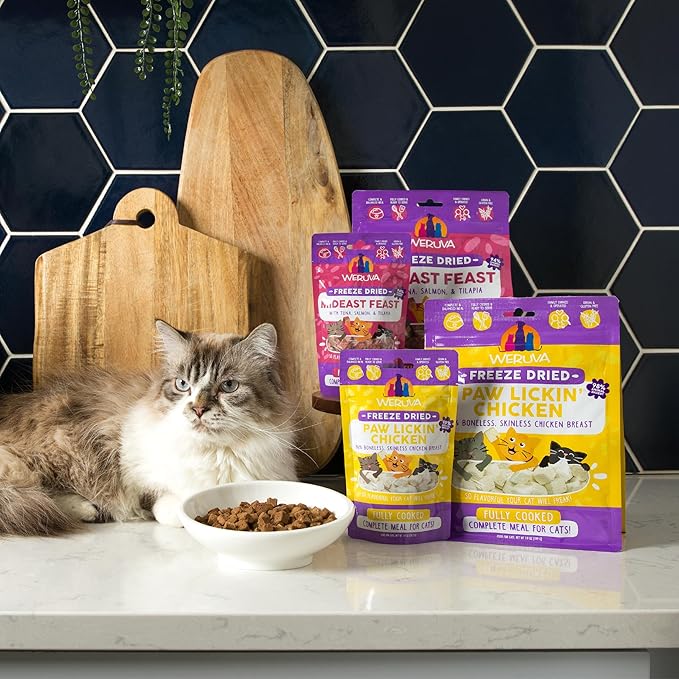 Weruva Cat Freeze Dried, Paw Lickin' Chicken with Chicken Breast, 1oz Bag