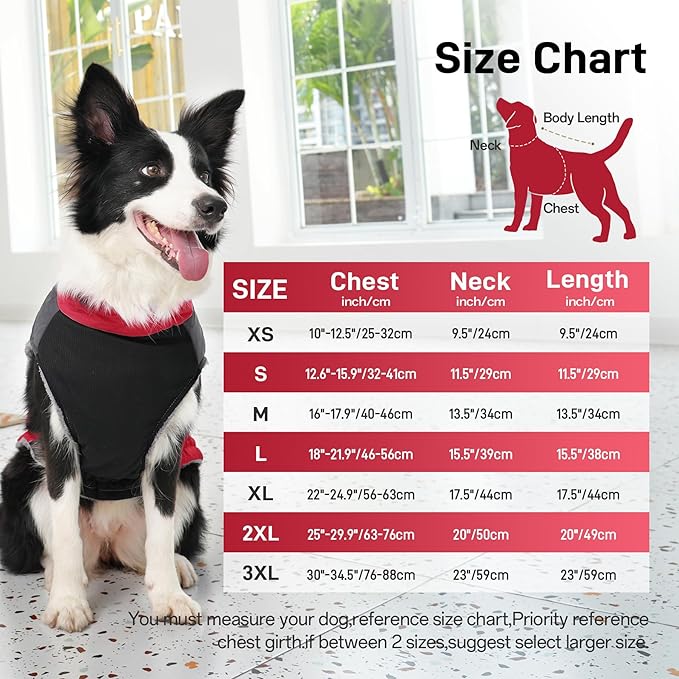 Warm Fleece Dog Coats for Small Dogs,D-Rings Waterproof Puppy Jacket for Cold Winter,Red M