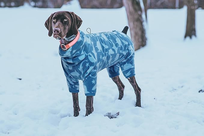 ROZKITCH Dog Thermals Winter Coat Soft Fleece Pullover Pajamas, Pet Windproof Warm Cold Weather Jacket Vest with Luminous Zipper, Jumpsuit Apparel Outfit Clothes for Small Dog Shark 2XS