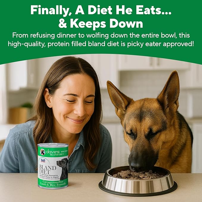 Dave's Pet Food Bland Dog Food (Lamb & Rice), Canned Wet Dog Food for Sensitive Stomachs, Gluten-Free, Digestive Care, 13.2 oz (Case of 12)