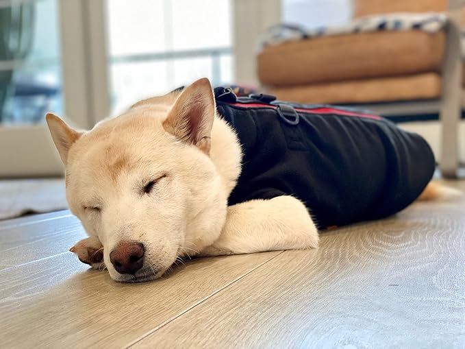 Gooby Zip Up Fleece Dog Sweater - Black, X-Large - Warm Pullover Fleece Step-in Dog Jacket with Dual D Ring Leash for Small to Medium Dogs