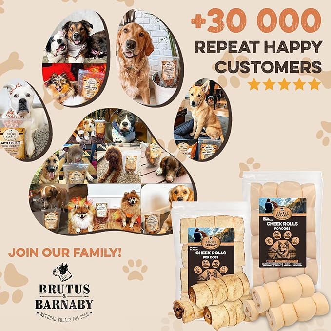 Premium Beef Cheek Rolls for Dogs 5-7" - (5-Pack) Long Lasting, Safe & Natural Rawhide Alternative Chews, Ideal for Large Dogs & Aggressive Chewers, Supports Dental Health & Digestion