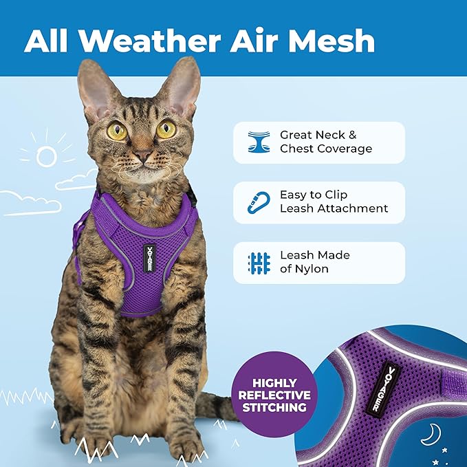 Best Pet Supplies Voyager Escape Proof Cat Harness and Leash Set with Reflective Stitching, Neoprene Handle 5ft - Supports Small, Medium and Large Cats, Kittens - Purple, M (Chest: 16.5-19.5")
