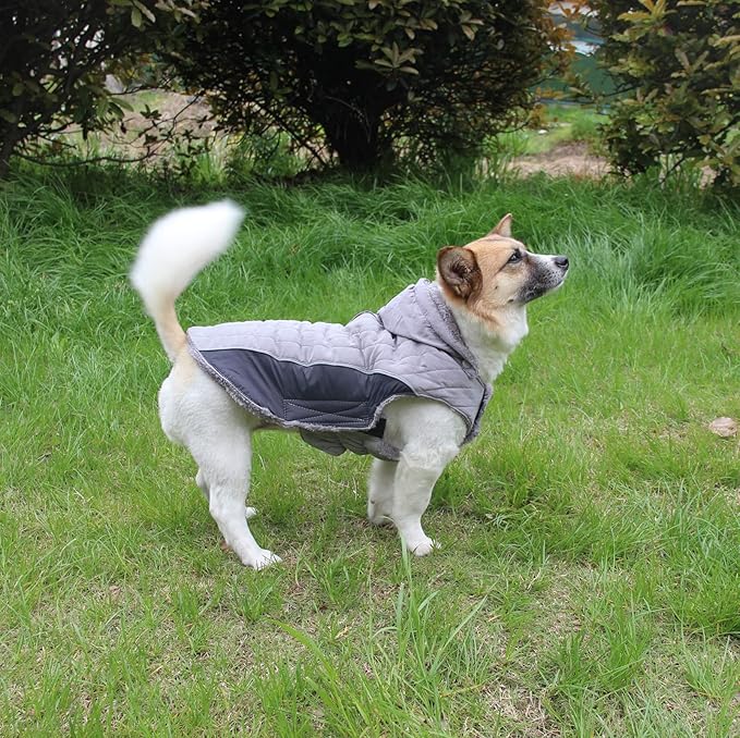 Fleece Dog Hoodie for Small Dogs Super Warm Puppy Jacket for Cold Winter Dog Coats,Grey S