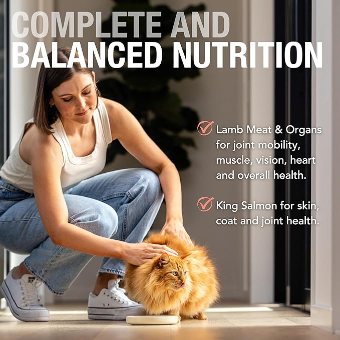 Feline Natural Wet Cat Food Pouch - Lamb & Salmon Feast, Grass-Fed & Wild-Caught, Grain-Free New Zealand Pate, 3oz Single Serve, Pack of 12
