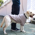 Extra Large Dog Collar Jackets Clothes Sweaters with Leash Ring for Labrador Rottweiler Great Dane, Grey, 6X-Large