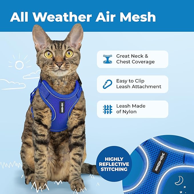 Voyager Escape Proof Cat Harness and Leash Set with Reflective Stitching, Neoprene Handle 5ft - Supports Small, Medium and Large Cats, Kittens for Walking by Best Pet Supplies - Royal Blue, S