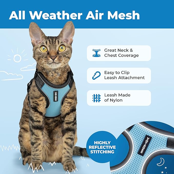 Voyager Escape Proof Cat Harness and Leash Set with Reflective Stitching, Neoprene Handle 5ft - Supports Small, Medium and Large Cats, Kittens for Walking by Best Pet Supplies - BT-Baby Blue, XXXS