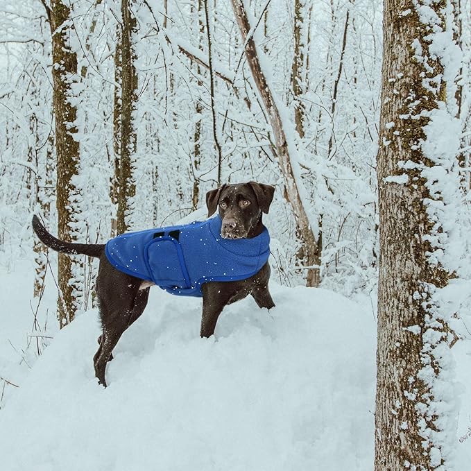 Queenmore Soft Fleece Dog Jacket, Warm Winter Coats with Leash Hole, Dachshund Sweaters for Small Dogs Cats Boy or Girl (Blue, L)