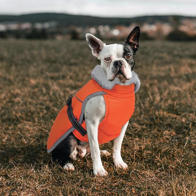 Lelepet Warm Dog Winter Coat Reflective Dog Jacket Fleece Vest Waterproof Windproof Cold Weather Coats with Adjustable Buckle Plush Turtleneck Pet Snowsuit for Small Medium Large Dogs,Pitbull,Lab,XL