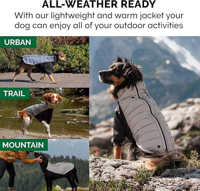 Furhaven Water-Repellent XS Dog Coat, Washable & Reflective w/ Leash Access & Stretch Fabric - Pro-Fit Active Jacket - Chrome, Extra Small