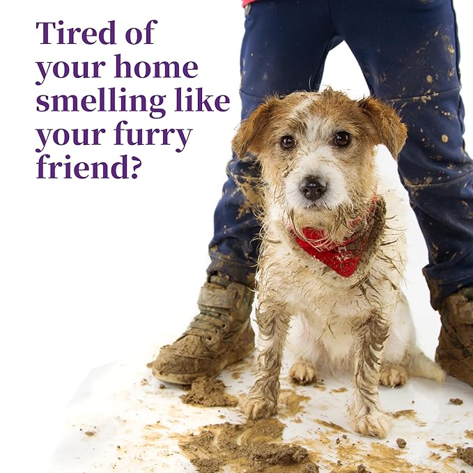 Harbor's Pet Cologne (Clean Cool Water 32oz)