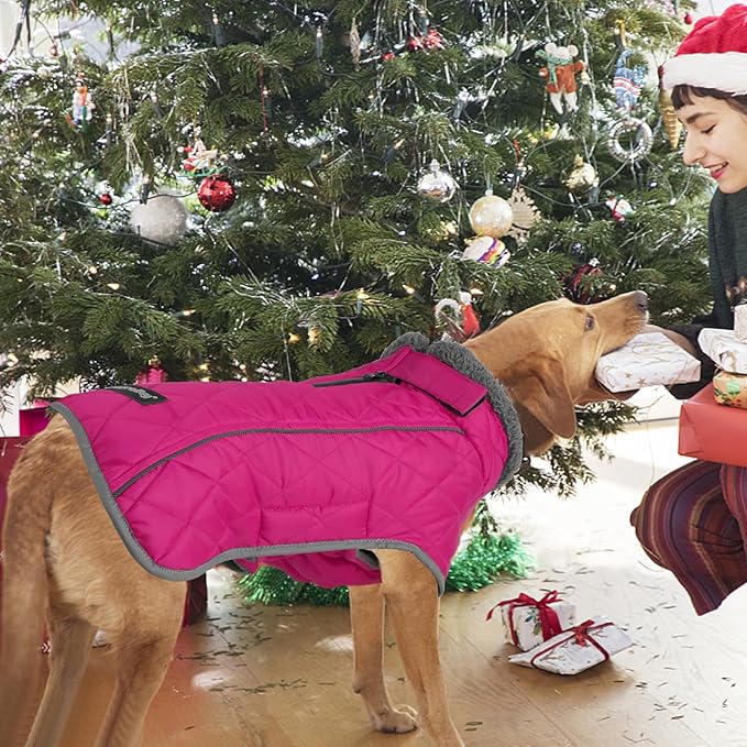 Fragralley Dog Coat Large, Waterproof Dog Jacket with Warm Fleece Lining, Adjustable Reflective Dogs Winter Coat, Turtleneck Pet Coats for Cold Weather (Rose Pink XXL)