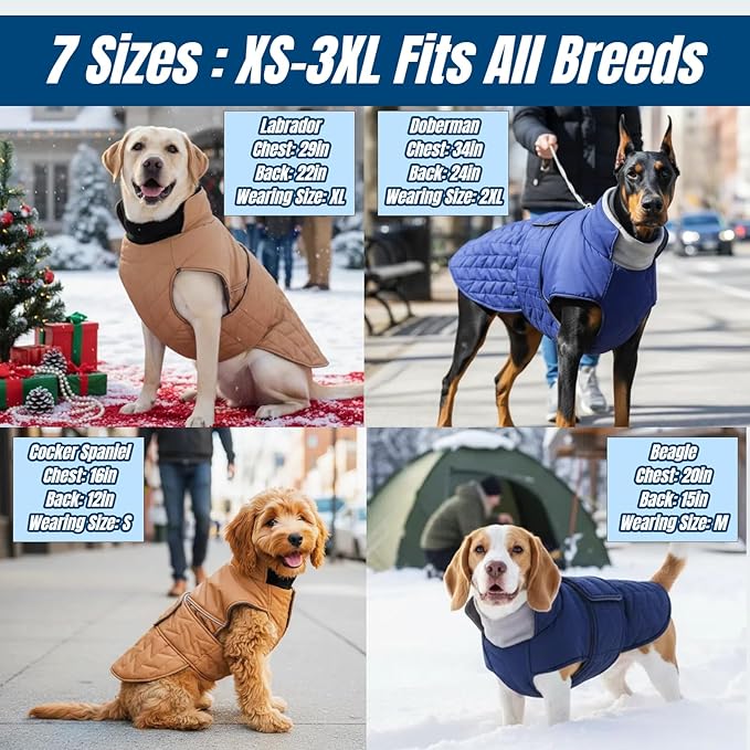 Outdoor Classic Quilted Upgraded Dog Winter Coat, Waterproof & Ultra Warmth Coats for Large Dogs, Lightweight Jackets Chest Adjustable, Pet Turtleneck Snowsuit for Labrador Dalmatian(Blue, 2XL)