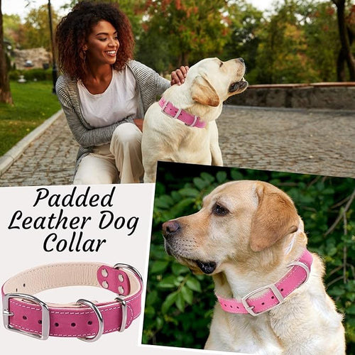ADITYNA Heavy-Duty Pink Leather Dog Collar for Medium Dogs - Lined with Soft Leather - Girl Dog Collar for Walking, Training, and Hiking