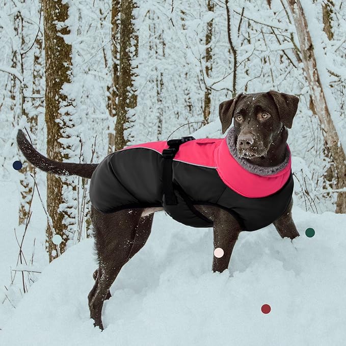 IECOii Extra Warm Dog Coat - Reflective Adjustable Jacket With Buckle Fleece Turtleneck for Cold Weather - Soft Winter Coat for Small Medium Extra Large Dogs