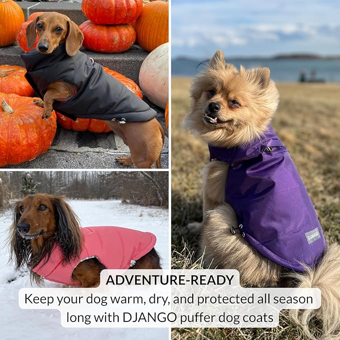DJANGO Puffer Dog Coat – Warm Winter Dog Jacket & Water-Repellent Insulated Puffer Vest with Striped Lining, Harness Hole, Adjustable Fit for Small & Medium Dogs, Dachshunds – Rose Petal Pink, Small